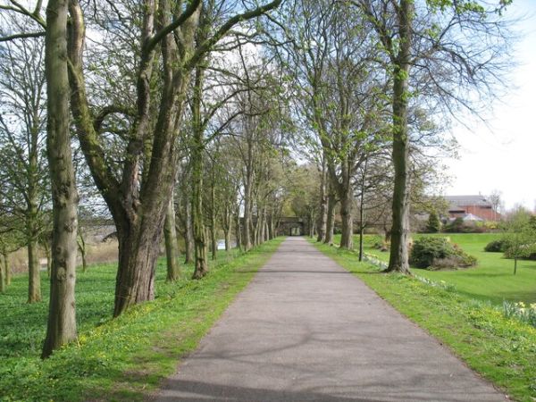 View along path in Bitts Park